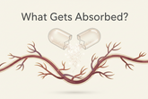 What Is Bioavailability? Why It Matters in Supplements