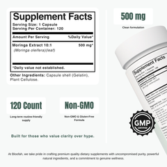 Bloofah MG Moringa Capsules 500mg | Moringa oleifera Leaf Extract | 120 Capsules