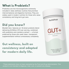 Bloofah Gut+ Women's Probiotic 50B CFU | 18 Strains + Prebiotic & Cranberry | 120 Capsules