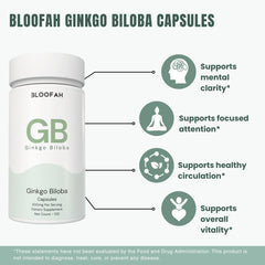 Bloofah GB – Ginkgo Biloba Capsules 500mg | Focus & Mental Clarity Support (120 Capsules)