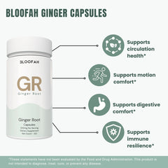 Bloofah GR – Ginger Capsules 500mg | Digestion & Comfort Support (120 Capsules)