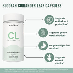 Bloofah CL – Coriander Leaf Capsules 500mg | Digestion & Detox Support (120 Capsules)