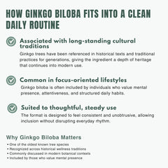Bloofah GB – Ginkgo Biloba Capsules 500mg | Focus & Mental Clarity Support (120 Capsules)