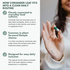 Bloofah CL Coriander Capsules 500mg | Coriandrum sativum Leaf Extract | 120 Capsules