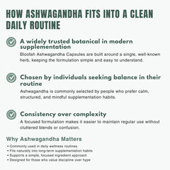 Bloofah AG – Ashwagandha Capsules 500mg | 120 Capsules