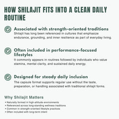 Bloofah SJ – Shilajit Capsules 500mg | Energy & Vitality Support (120 Capsules)