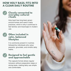 Bloofah HB – Holy Basil Capsules 500mg | Stress & Immunity Support (120 Capsules)