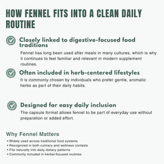 Bloofah FN – Fennel Capsules 500mg | Digestion & Gut Comfort Support (120 Capsules)