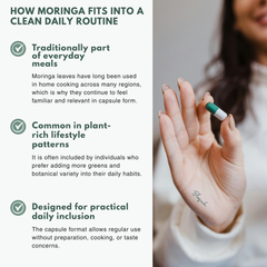 Bloofah MG Moringa Capsules 500mg | Moringa oleifera Leaf Extract | 120 Capsules