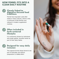 Bloofah FN Fennel Capsules 500mg | Foeniculum vulgare Seed Extract | 120 Capsules