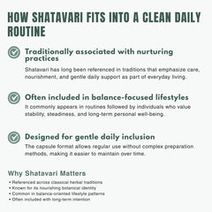 Bloofah SV – Shatavari Capsules 500mg | Balance & Vitality Support (120 Capsules)