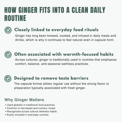 Bloofah GR – Ginger Capsules 500mg | Digestion & Comfort Support (120 Capsules)