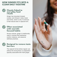 Bloofah GR Ginger Root Capsules 500mg | Zingiber officinale Extract | 120 Capsules