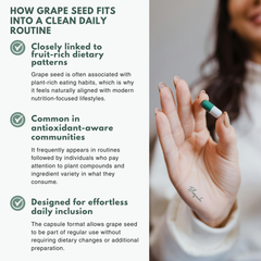 Bloofah GS Grape Seed Capsules 500mg | Vitis vinifera Extract | 120 Capsules