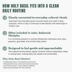 Bloofah HB – Holy Basil Capsules 500mg | Stress & Immunity Support (120 Capsules)