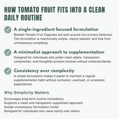 Bloofah LYP – Lycopene Capsules 500mg | Antioxidant Support from Tomato Fruit (120 Capsules)