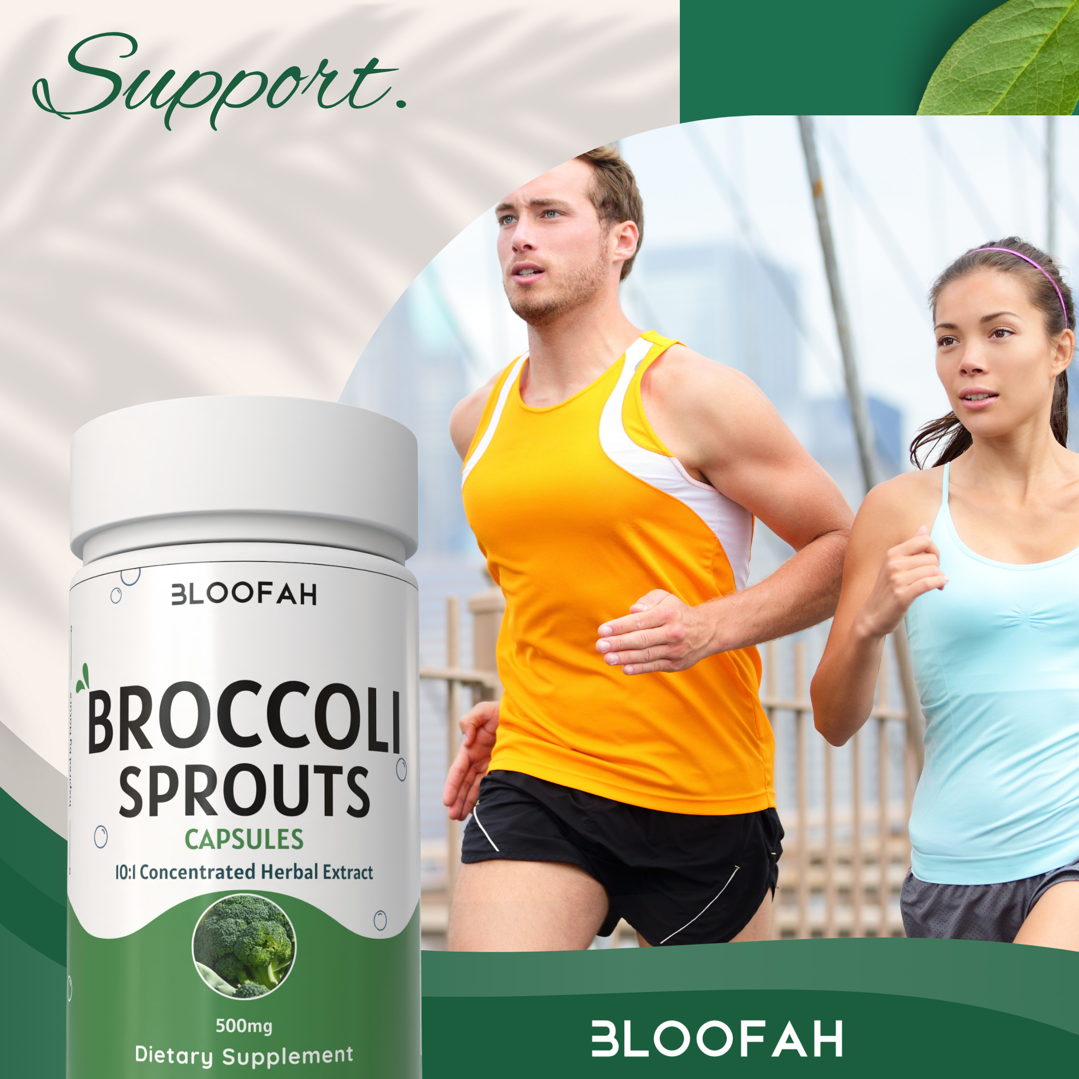 Bloofah Broccoli Sprout Extract Supplement 500mg | Broccoli Sprout (Brassica oleracea VAR. Italica) Extract 10:1 Powder | 100% Pure, Natural, Gluten-Free Formula Herbal Supplements Bloofah Broccoli Sprout Extract Supplement 500mg | Broccoli Sprout (Brassica oleracea VAR. Italica) Extract 10:1 Powder | 100% Pure, Natural, Gluten-Free Formula Herbal Supplements