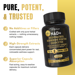 Bloofah NAD+ Capsules 1530mg | Nicotinamide Riboside with Resveratrol & 18-in-1 Herbal Blend | Cellular Energy & Healthy Aging Support (90 Vegan Capsules)