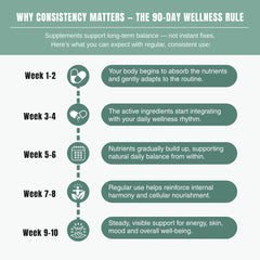 Bloofah SJ – Shilajit Capsules 500mg | Energy & Vitality Support (120 Capsules)