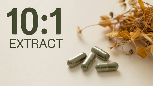What Does 10:1 Extract Mean in Supplements? A Clear and Complete Guide