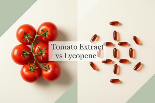 Tomato Extract vs Lycopene: What’s the Real Difference?