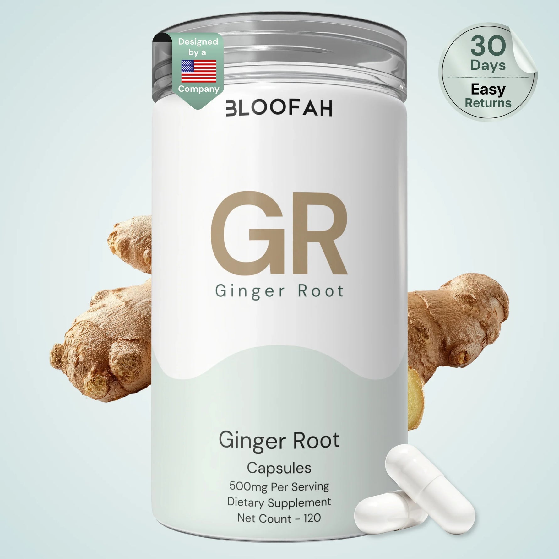 Bloofah GR Ginger Root Capsules 500mg | Zingiber officinale Extract | 120 Capsules