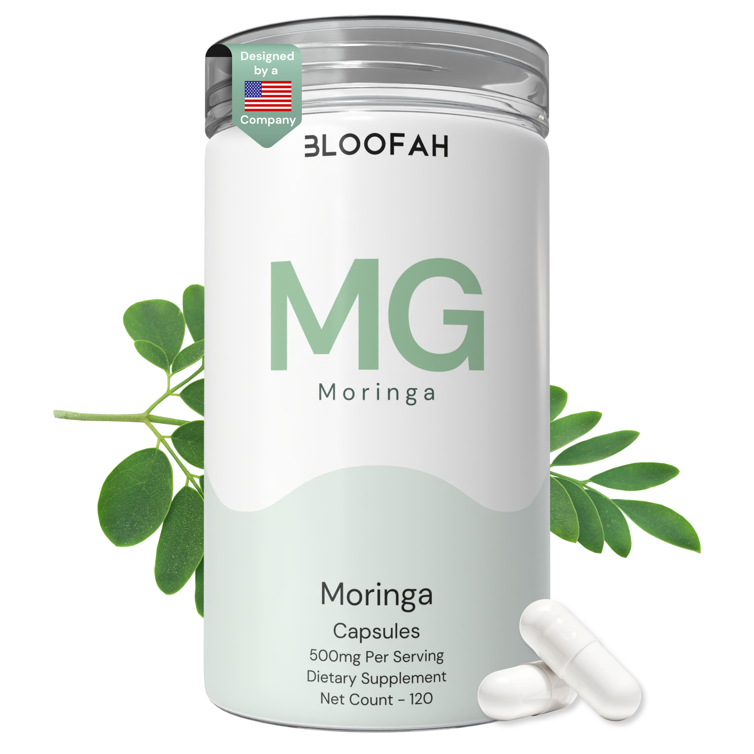 Bloofah MG Moringa Capsules 500mg | Moringa oleifera Leaf Extract | 120 Capsules