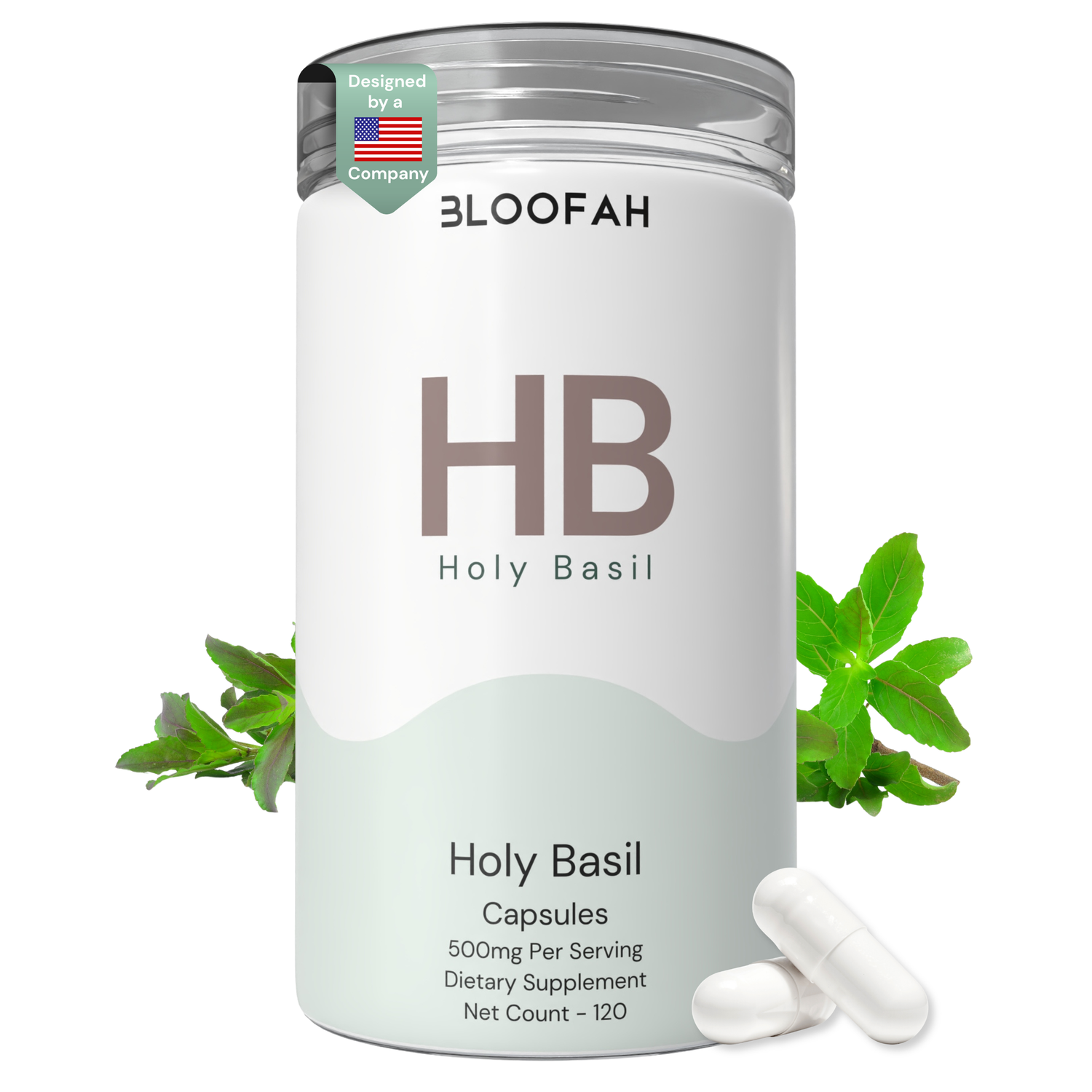 Bloofah HB Holy Basil Capsules 500mg | Ocimum tenuiflorum (Tulsi) Extract | 120 Capsules