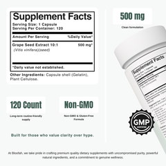 Bloofah GS Grape Seed Capsules 500mg | Vitis vinifera Extract | 120 Capsules