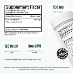 Bloofah BR Beetroot Capsules 500mg | Beta vulgaris Root Extract | 120 Capsules