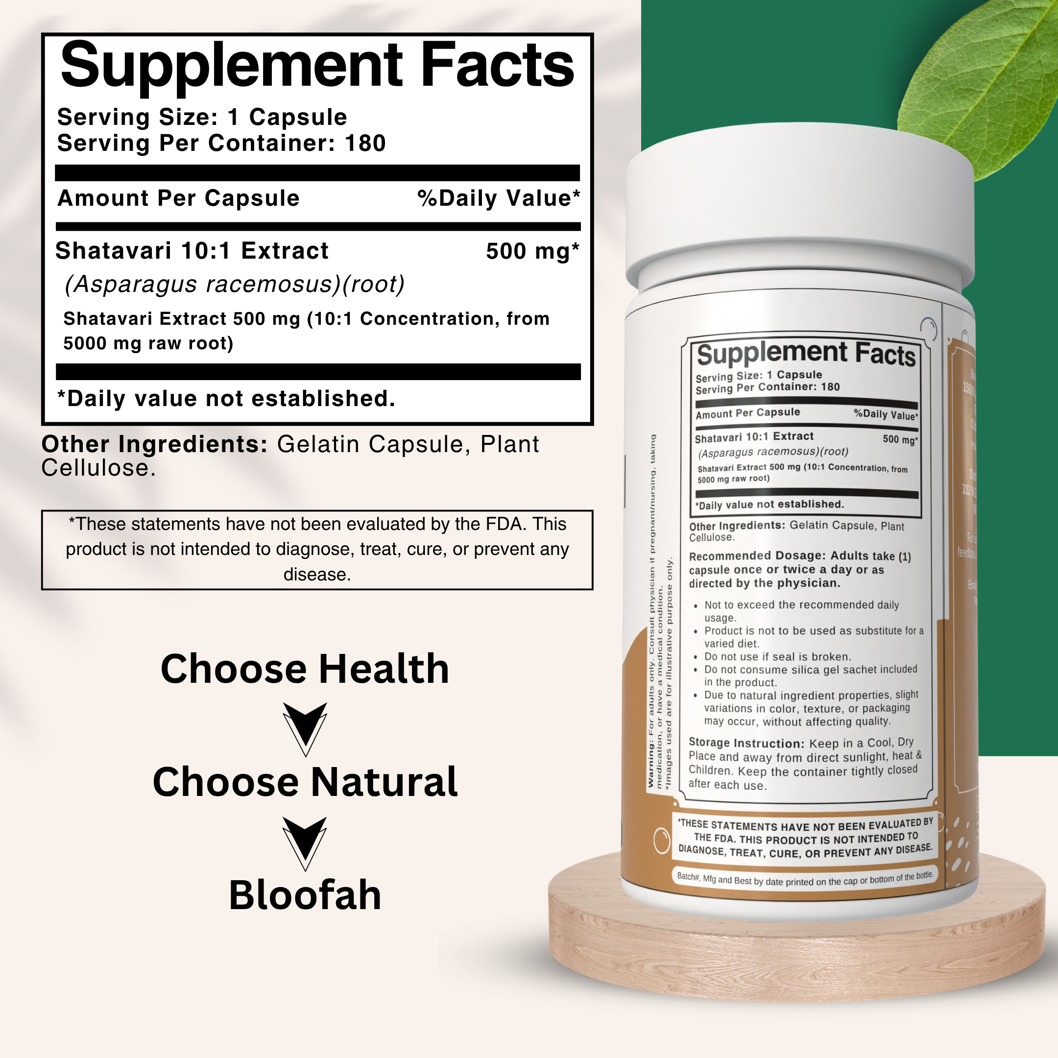 Bloofah Shatavari Root Capsules 500mg | 10:1 Extract Powder Eq. to 5000mg | Premium Herbal Supplement | Natural Asparagus racemosus for General Vitality | Non-GMO, Gluten-Free