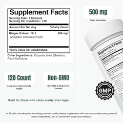 Bloofah GR Ginger Root Capsules 500mg | Zingiber officinale Extract | 120 Capsules