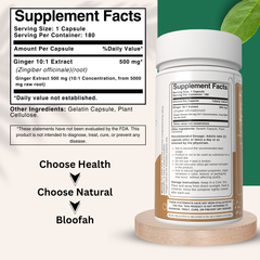 Bloofah Ginger Root Capsules 500mg | Non-GMO, Gluten Free Formula | 100% Pure Ginger (Zingiber officinale) Root Extract 10:1 Powder Herbal Supplement for Overall Health