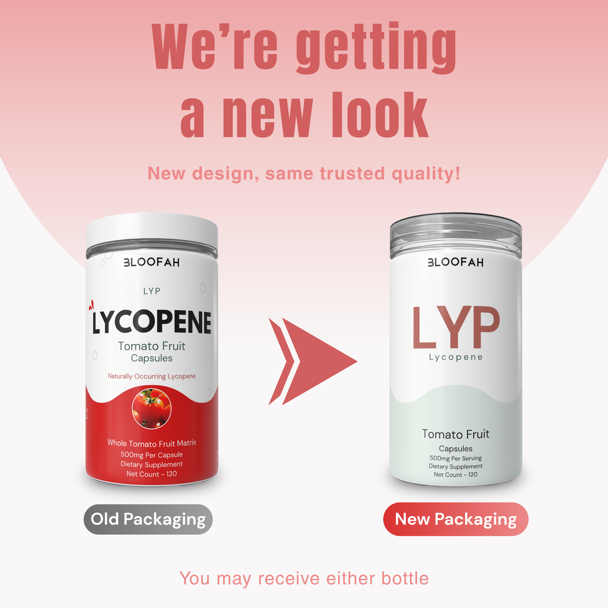 Bloofah LYP Lycopene Tomato Fruit Capsules 500mg | Natural Source of Lycopene