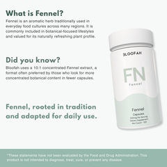 Bloofah FN – Fennel Capsules 500mg | Digestion & Gut Comfort Support (120 Capsules)