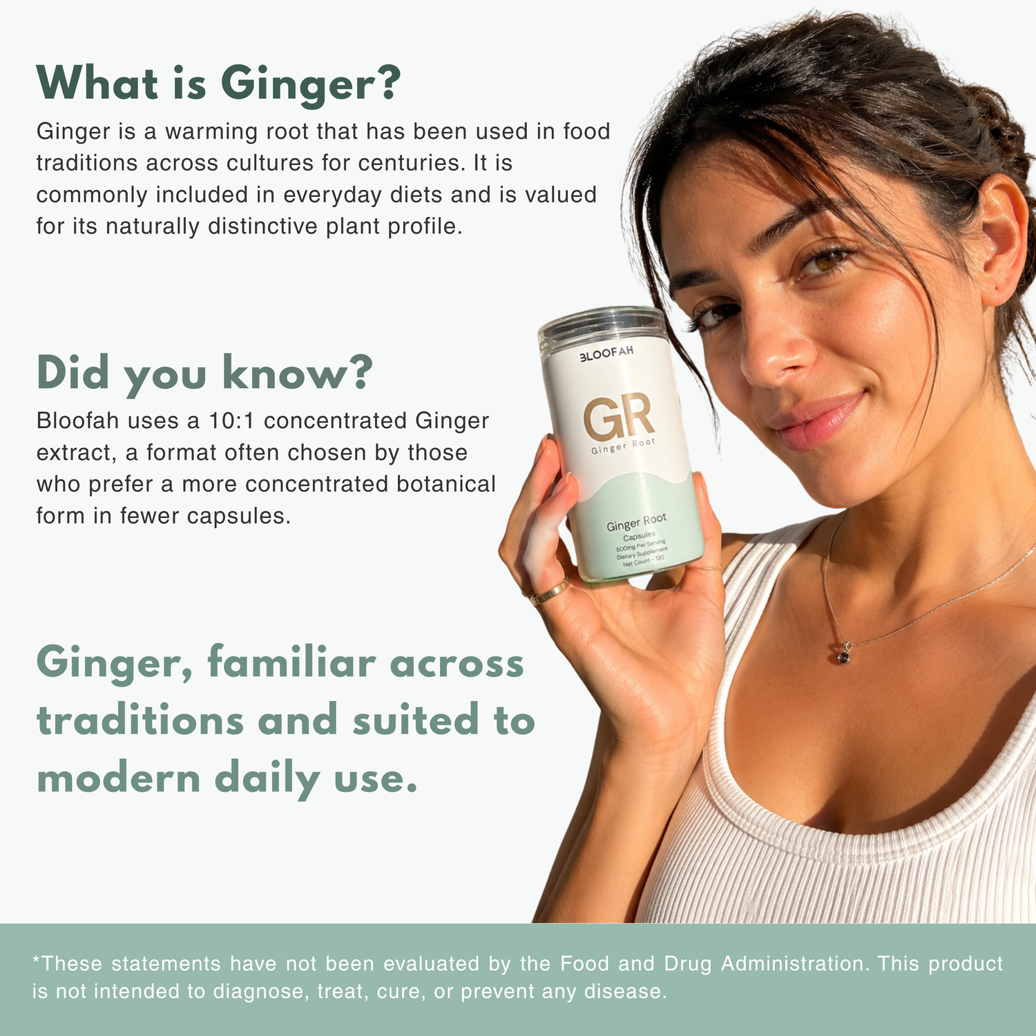 Bloofah GR Ginger Root Capsules 500mg | Zingiber officinale Extract | 120 Capsules