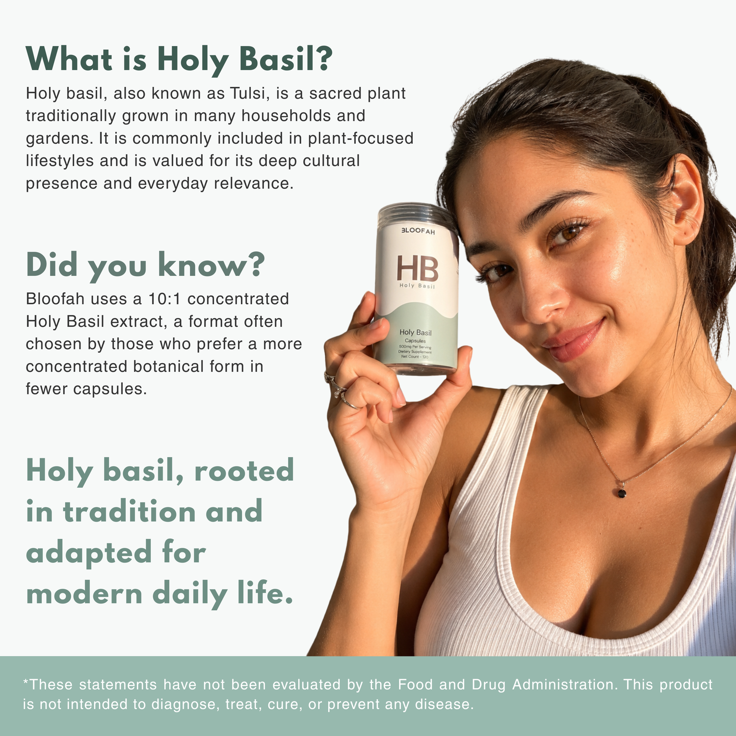 Bloofah HB Holy Basil Capsules 500mg | Ocimum tenuiflorum (Tulsi) Extract | 120 Capsules
