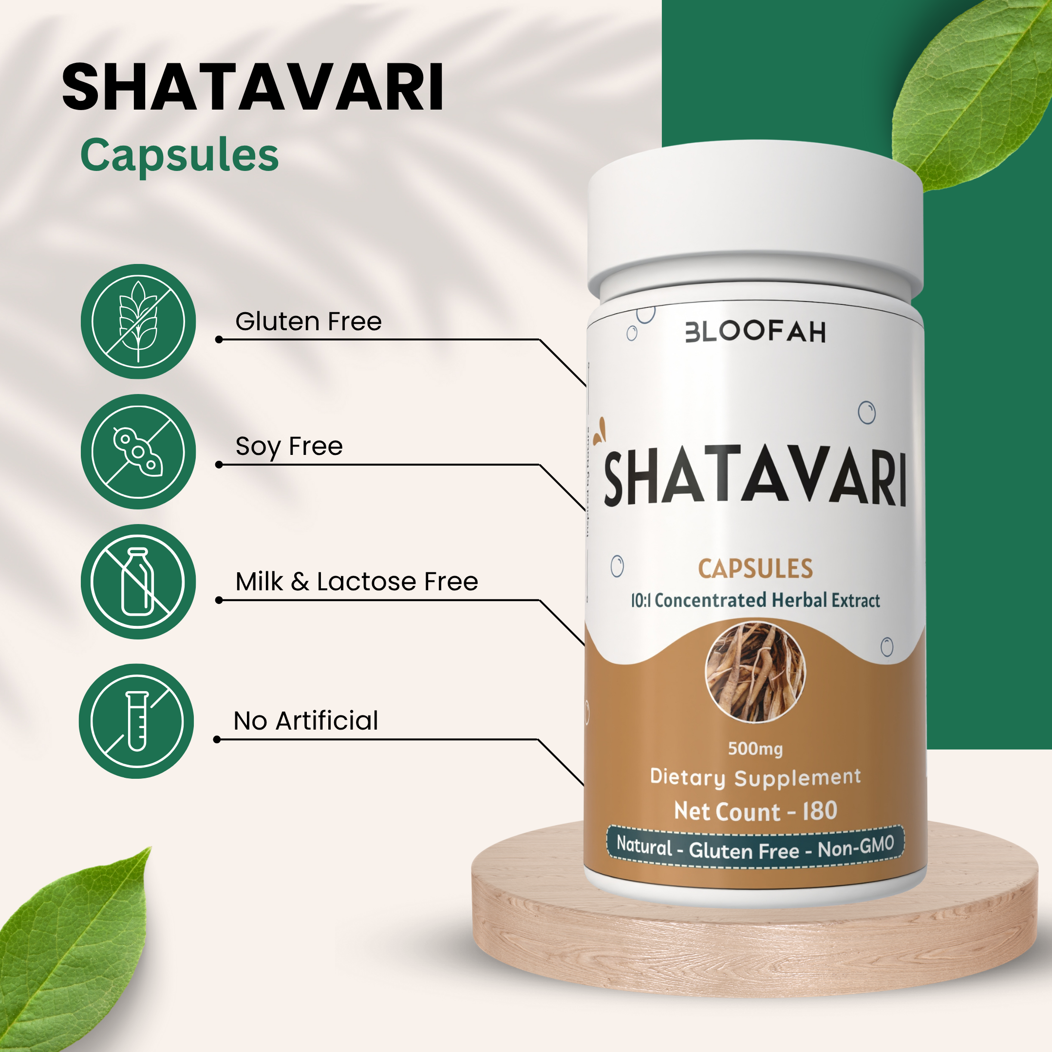 Bloofah Shatavari Root Capsules 500mg | 10:1 Extract Powder Eq. to 5000mg | Premium Herbal Supplement | Natural Asparagus racemosus for General Vitality | Non-GMO, Gluten-Free