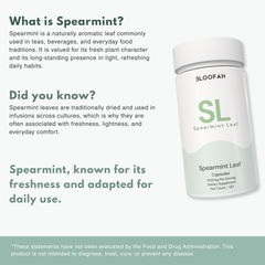 Bloofah SL – Spearmint Capsules 1000mg | Digestion & Freshness Support (120 Capsules)