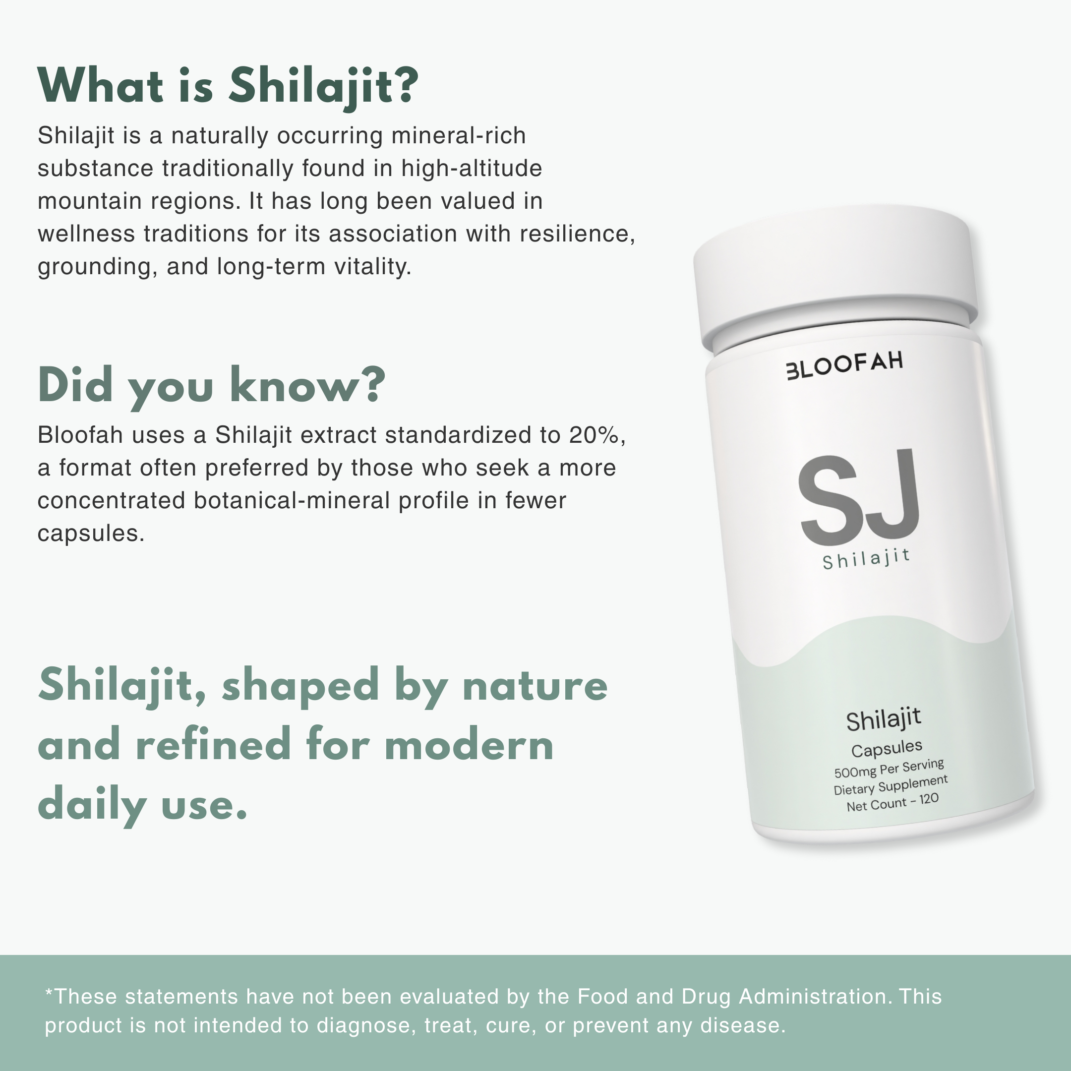 Bloofah SJ – Shilajit Capsules 500mg | Energy & Vitality Support (120 Capsules)