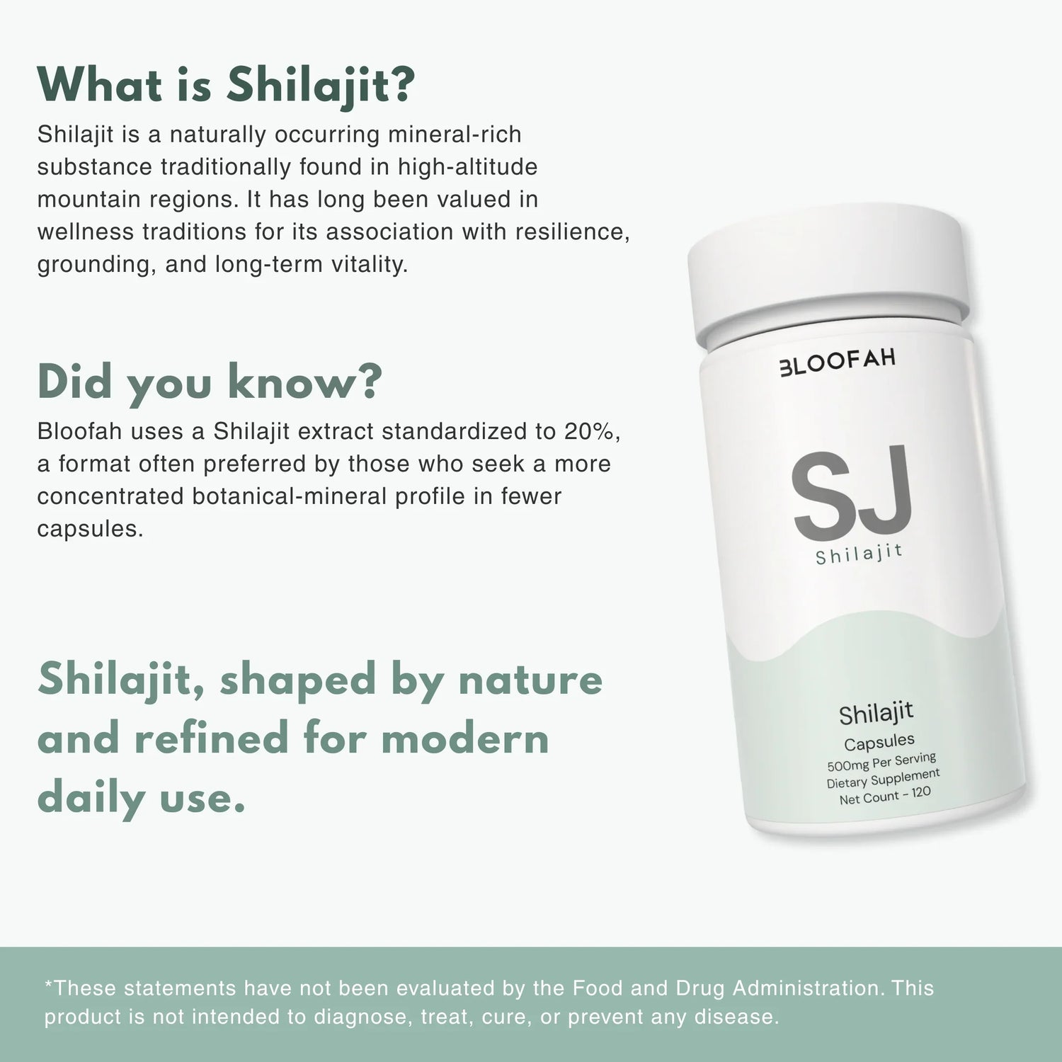 Bloofah SJ Shilajit Capsules 500mg | Himalayan Mineral Resin Extract | 120 Capsules