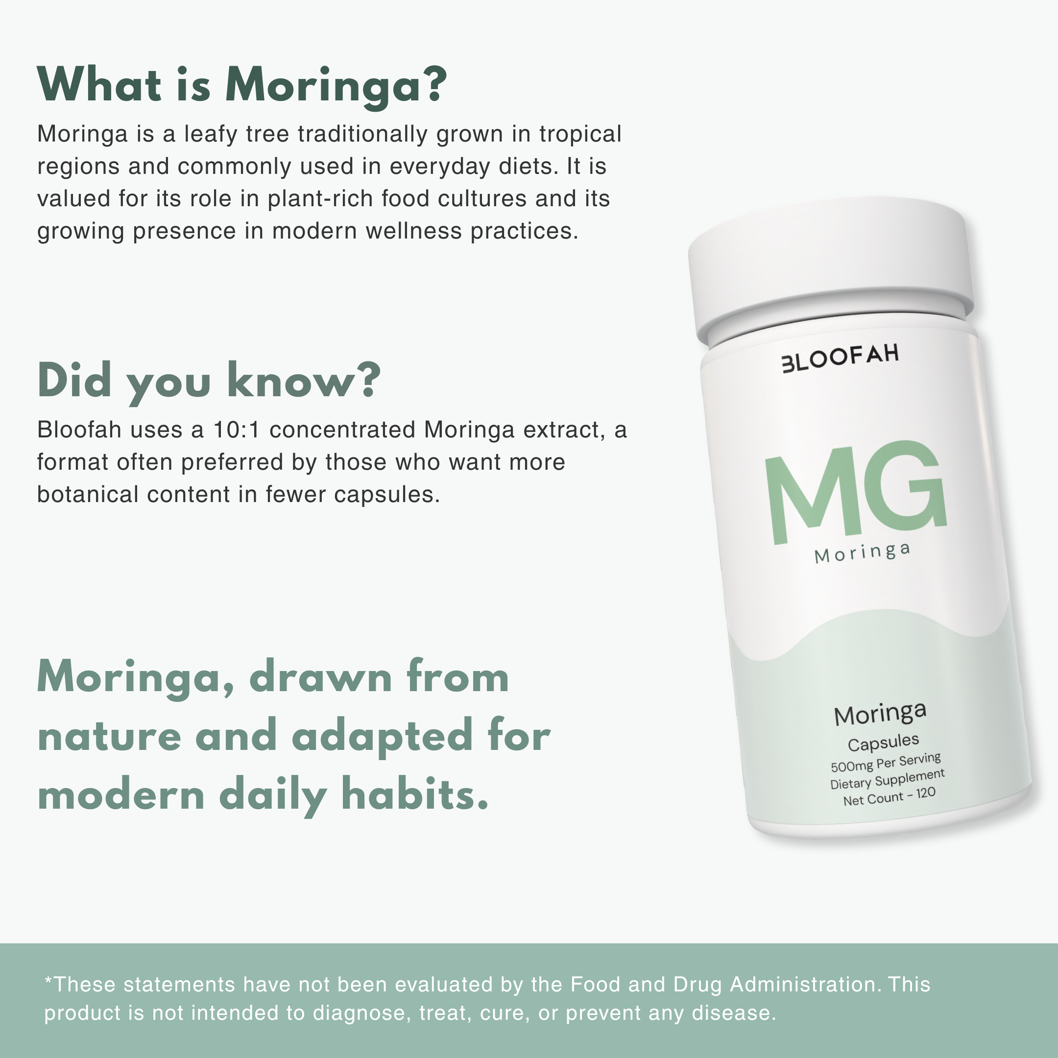 Bloofah MG – Moringa Capsules 500mg | Nutrition & Daily Vitality Support (120 Capsules)