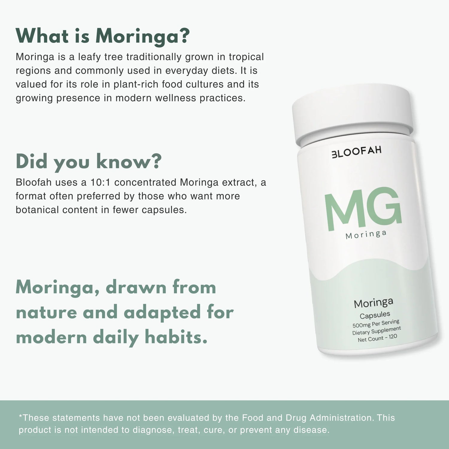 Bloofah MG Moringa Capsules 500mg | Moringa oleifera Leaf Extract | 120 Capsules