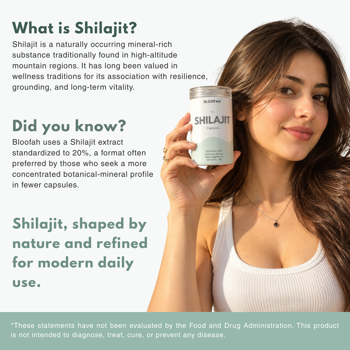 Bloofah SJ Shilajit Capsules 500mg | Himalayan Mineral Resin Extract | 120 Capsules