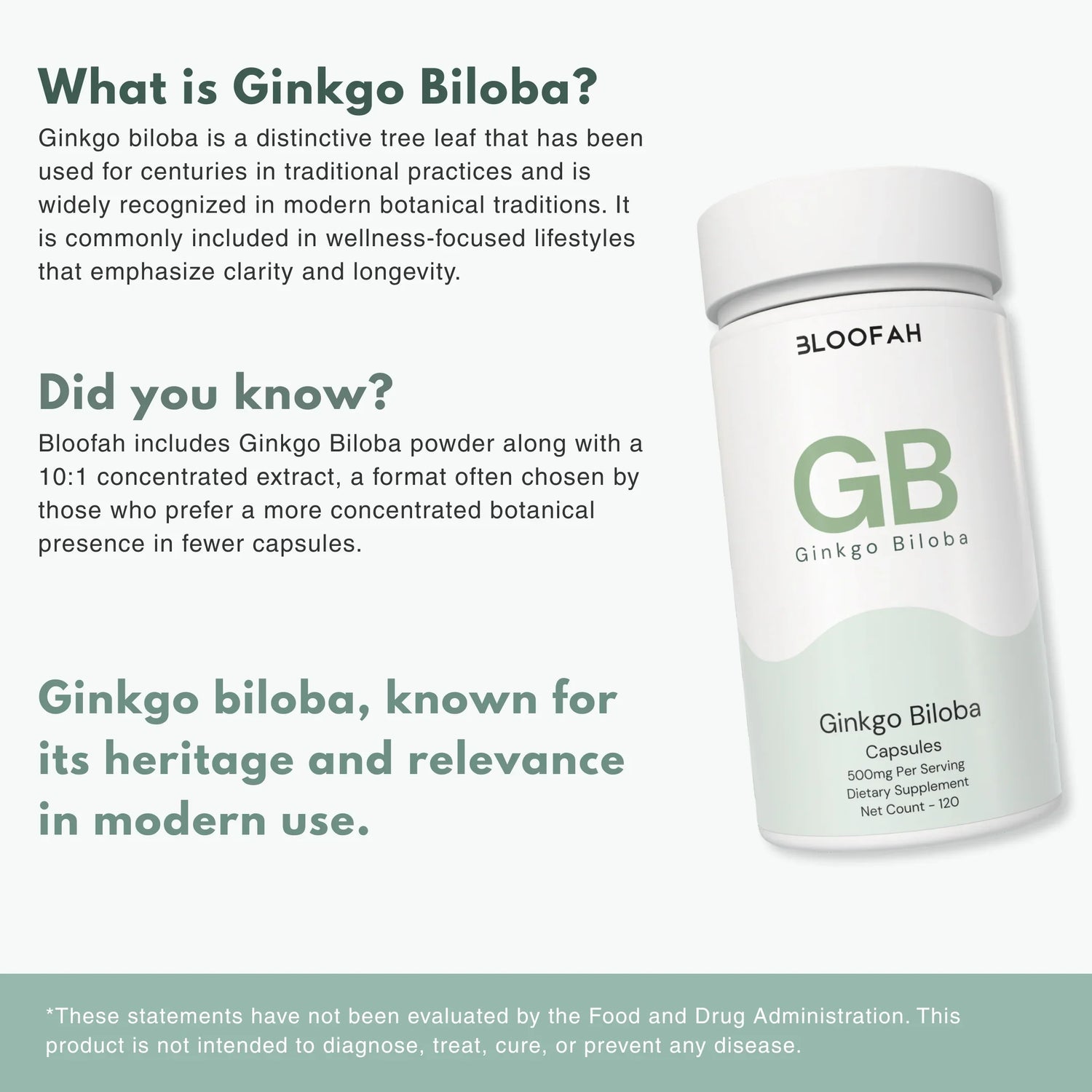 Bloofah GB Ginkgo Biloba Capsules 500mg | Ginkgo biloba Leaf Extract | 120 Capsules