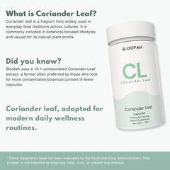 Bloofah CL – Coriander Leaf Capsules 500mg | Digestion & Detox Support (120 Capsules)