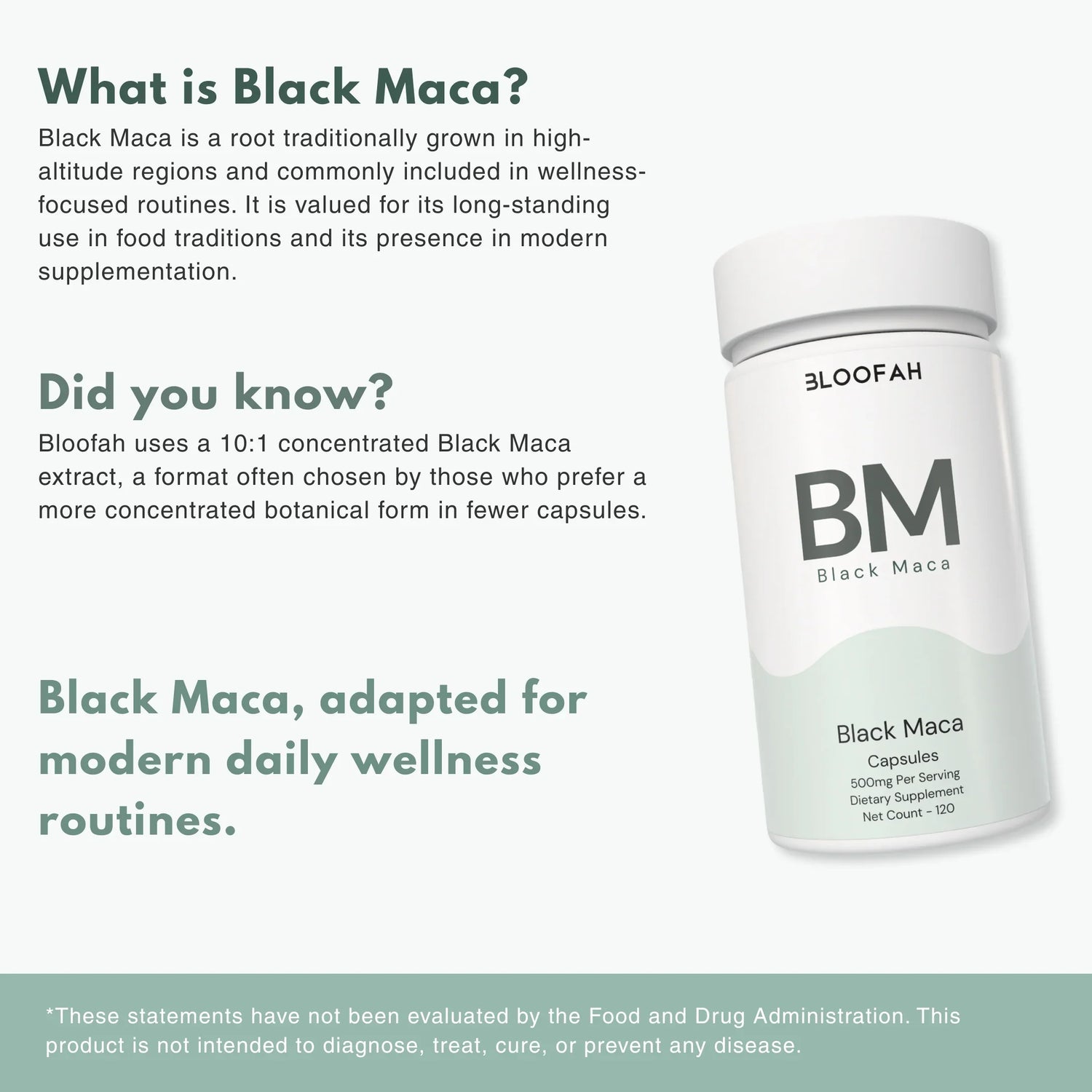 Bloofah BM Black Maca Capsules 500mg | Lepidium meyenii Root Extract | 120 Capsules