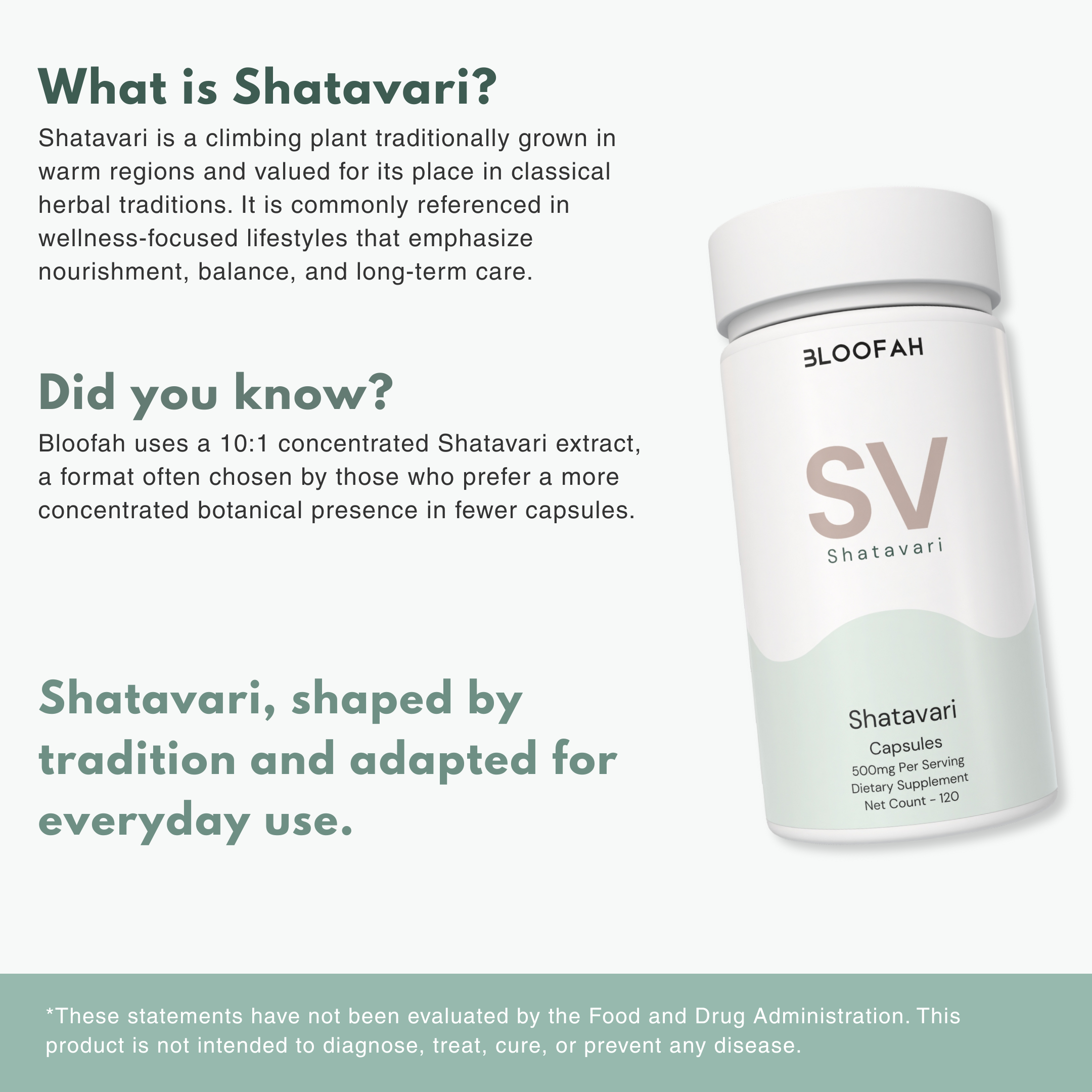 Bloofah SV – Shatavari Capsules 500mg | Balance & Vitality Support (120 Capsules)