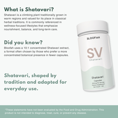 Bloofah SV – Shatavari Capsules 500mg | Balance & Vitality Support (120 Capsules)