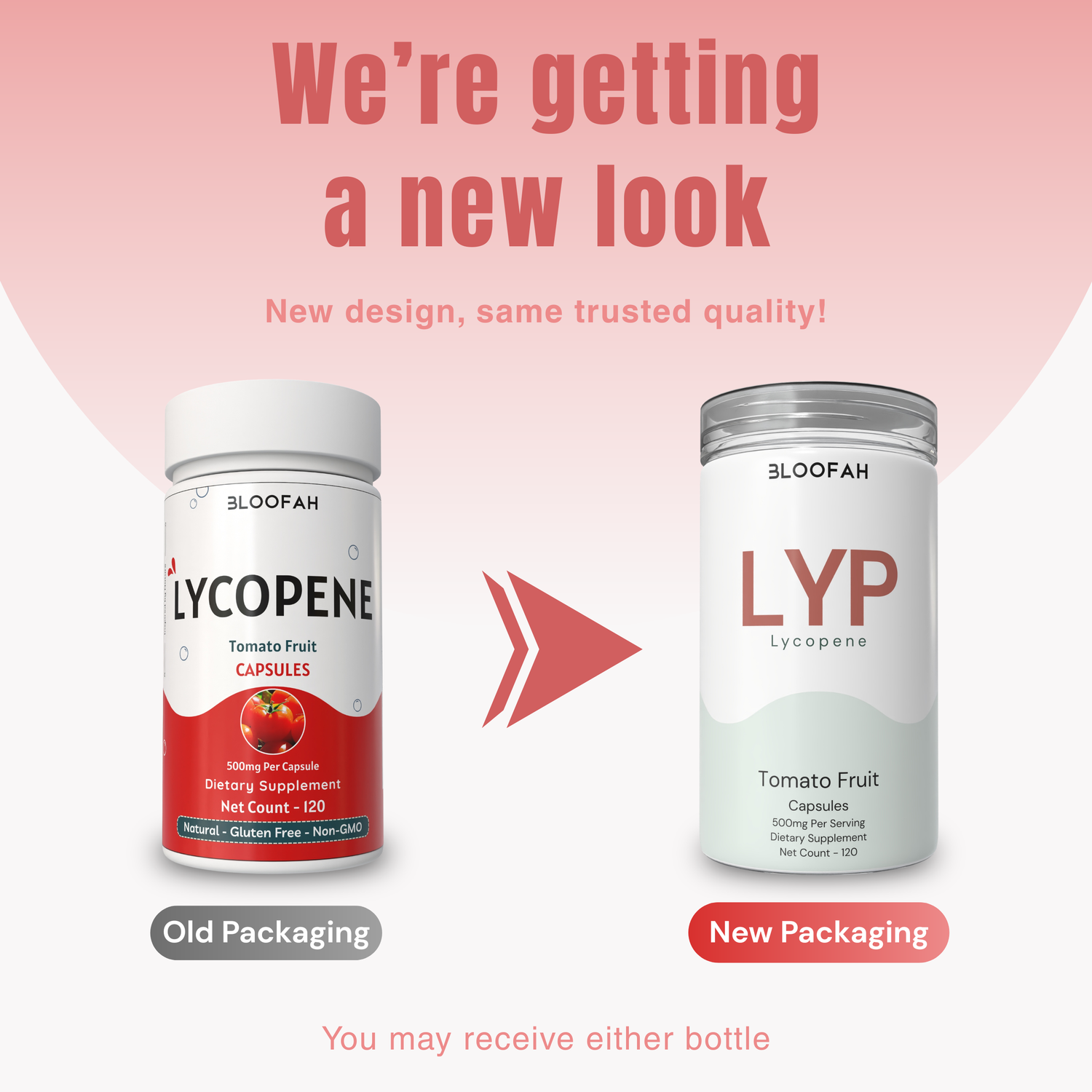 Bloofah LYP Lycopene Tomato Fruit Capsules 500mg | Natural Source of Lycopene